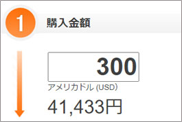 購入金額の入力欄